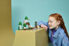LEGO 21593 - Modell im Umgebungsbild