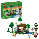 LEGO 21593 - Verpackung mit fertigem Modell
