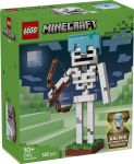 LEGO 21594 - Verpackung Ansicht 1