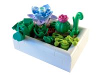 LEGO Botanicals 5010093 Winziger Wüstengarten