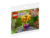 LEGO 30404 - Bild 1