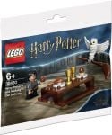 LEGO Harry Potter 30420 Harry Potter™ und Hedwig™: Eulenlieferung