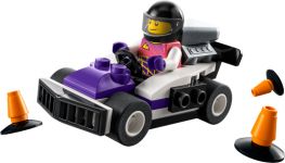 LEGO 30589 - Hauptansicht