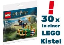 LEGO Harry Potter 30651 Quidditch™ Training - 30er Box