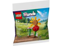 LEGO 30659 - Bild 1