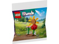 LEGO 30659 - Verpackung Ansicht 1
