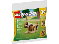 LEGO 30666 - Verpackung Ansicht 1