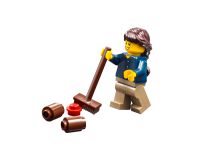 LEGO 31038 - Bild 9