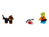 LEGO 31068 - Bild 8