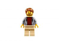 LEGO 31075 - Bild 8
