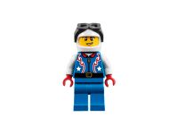 LEGO 31076 - Bild 5