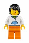 LEGO 31080 - Bild 13