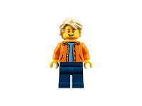LEGO 31081 - Bild 12