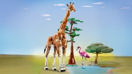 LEGO 31150 - Hauptansicht