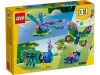 LEGO 31157 - Verpackung Rueckseite
