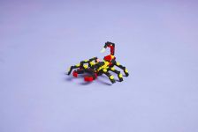 LEGO 31159 - Modell im Umgebungsbild