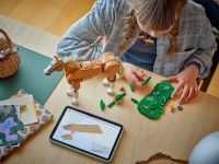 LEGO 31166 - Bauphase mit Anleitung