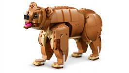 LEGO 31166 - Detailansicht 1