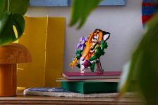 LEGO 31217 - Umgebungsbild 3