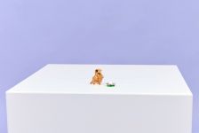 LEGO 31376 - Modell im Umgebungsbild