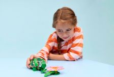 LEGO 31377 - Fertiges Modell 2