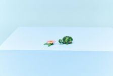 LEGO 31377 - Modell im Umgebungsbild
