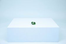 LEGO 31377 - Modell im Umgebungsbild