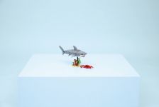 LEGO Creator 31381 Wilder Hai mit Schatztruhe LEGO_31381_Lifestyle_Envr_A.jpg