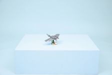 LEGO Creator 31381 Wilder Hai mit Schatztruhe LEGO_31381_Lifestyle_Envr_B.jpg