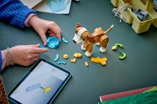 LEGO 31382 - Bauphase mit Anleitung