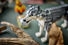 LEGO 31393 - Fertiges Modell 2