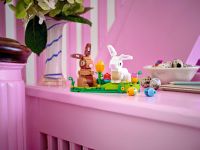LEGO 40523 - Umgebungsbild 1