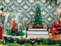 LEGO Botanicals 10370 Weihnachtsstern
