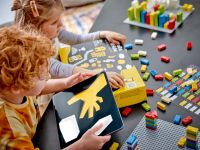 LEGO 40655 - Fertiges Modell 5