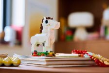 LEGO 40779 - Umgebungsbild 1