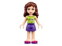LEGO 41116 - Bild 9
