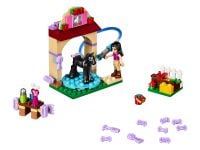 LEGO Friends 41123 Waschhäuschen für Emmas Fohlen