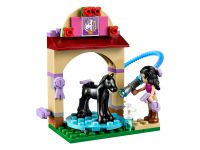 LEGO 41123 - Bild 2