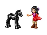 LEGO 41123 - Bild 3