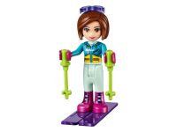 LEGO 41323 - Bild 11