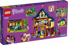 LEGO 41683 - Verpackung Rueckseite