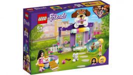 LEGO 41691 - Verpackung Ansicht 1