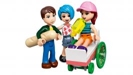 LEGO 41704 - Detailansicht 17