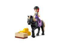 LEGO 41721 - Bild 10