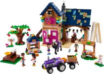 LEGO 41721 - Hauptansicht