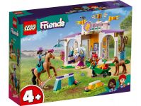 LEGO 41746 - Verpackung Ansicht 1