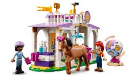 LEGO 41746 - Detailansicht 3