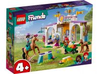 LEGO 41746 - Bild 1