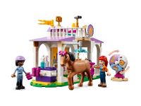LEGO 41746 - Bild 2