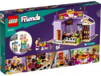 LEGO 41747 - Verpackung Rueckseite